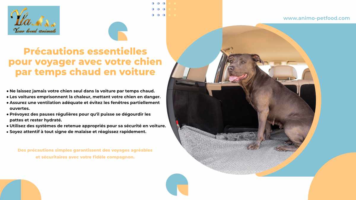 voyager-avec-votre-chien-par-temps-chaud-prevention-coup-de-chaleur  